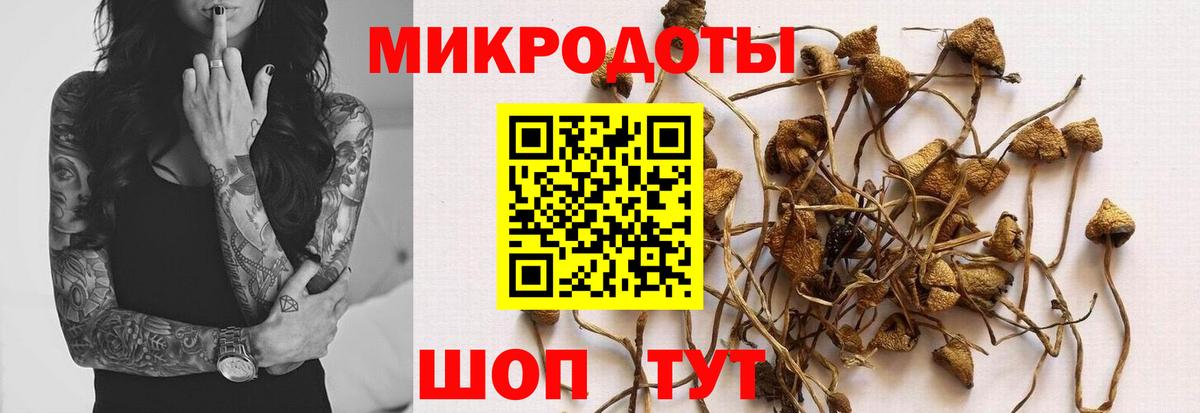 Бирск  цена   Вход с VPN  Галлюциногенные грибы Psilocybe 
